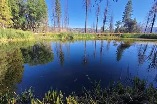 41390 Mendocino Pass Rd, Covelo, CA 95428 - Photo 7