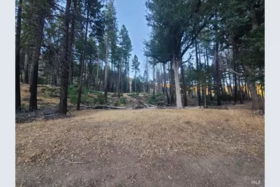 41390 Mendocino Pass Road, Covelo, CA 95428 - Photo 41