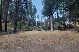 41390 Mendocino Pass Rd, Covelo, CA 95428 - Photo 41