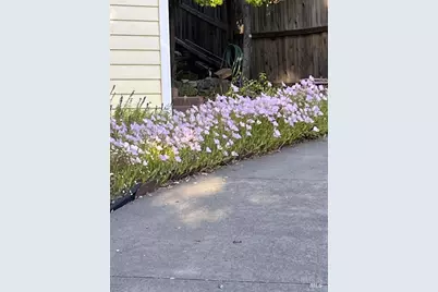 113 Heidi Lane, Cloverdale, CA 95425 - Photo 69