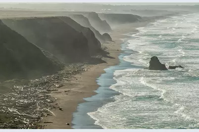 43650 Sea Cypress Drive, Manchester, CA 95459 - Photo 15