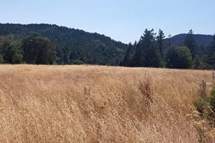 80090 Road 442B Rd, Piercy, CA 95776 - Photo 1