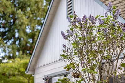 377 Maple Avenue, Cotati, CA 94931 - Photo 17