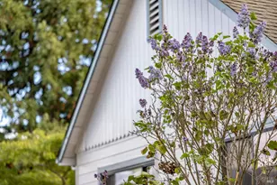 377 Maple Ave, Cotati, CA 94931 - Photo 17