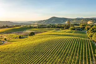 5561 Sonoma Mountain Rd, Santa Rosa, CA 95404 - Photo 3