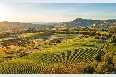 5561 Sonoma Mountain Road, Santa Rosa, CA 95404 - Photo 3