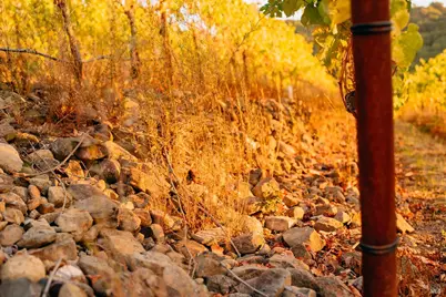 5561 Sonoma Mountain Road, Santa Rosa, CA 95404 - Photo 57