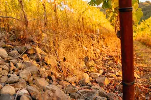 5561 Sonoma Mountain Rd, Santa Rosa, CA 95404 - Photo 57