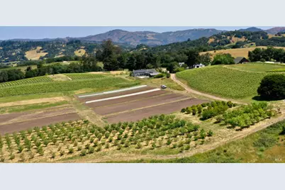 5561 Sonoma Mountain Road, Santa Rosa, CA 95404 - Photo 63