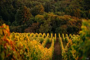 5561 Sonoma Mountain Rd, Santa Rosa, CA 95404 - Photo 61