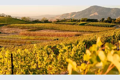 5561 Sonoma Mountain Road, Santa Rosa, CA 95404 - Photo 55