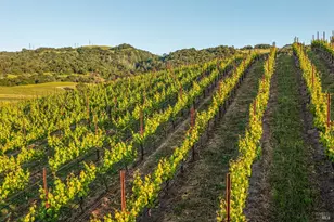 5561 Sonoma Mountain Rd, Santa Rosa, CA 95404 - Photo 47