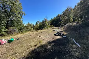 51901 Stivers Rd, Laytonville, CA 95454 - Photo 23