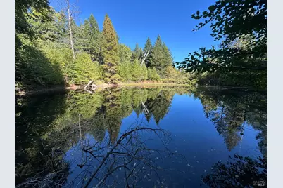 51901 Stivers Road, Laytonville, CA 95454 - Photo 17