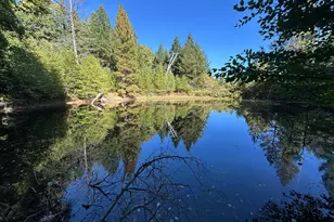 51901 Stivers Rd, Laytonville, CA 95454 - Photo 17