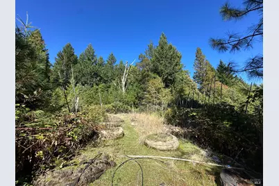 51901 Stivers Road, Laytonville, CA 95454 - Photo 19