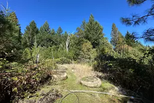 51901 Stivers Rd, Laytonville, CA 95454 - Photo 19