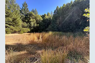 51901 Stivers Road, Laytonville, CA 95454 - Photo 3