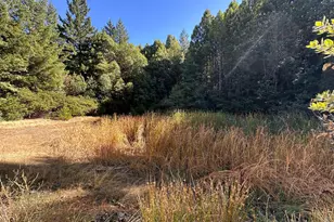 51901 Stivers Rd, Laytonville, CA 95454 - Photo 3