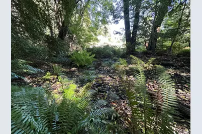 51901 Stivers Road, Laytonville, CA 95454 - Photo 21