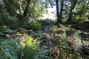 51901 Stivers Rd, Laytonville, CA 95454 - Photo 21