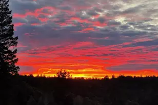 44801 Fish Rock Rd, Gualala, CA 95445 - Photo 47