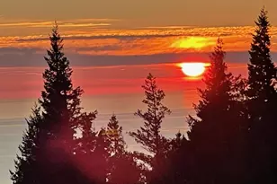 44801 Fish Rock Rd, Gualala, CA 95445 - Photo 49