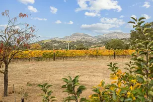 4171 Silverado Trail, Napa, CA 94558 - Photo 39