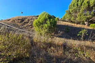 53 Mercury Ave, Tiburon, CA 94920 - Photo 9