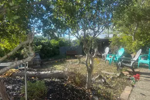 53 Mercury Ave, Tiburon, CA 94920 - Photo 11