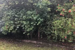 7251 Fircrest Ave, Sebastopol, CA 95472 - Photo 23