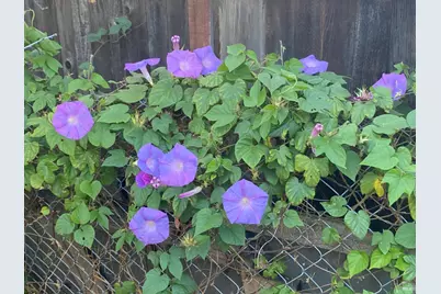 706 Anderson Way, Rio Vista, CA 94571 - Photo 13