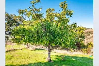 5430 Black Bart Trail, Redwood Valley, CA 95470 - Photo 67