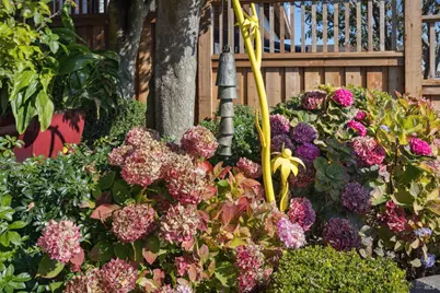 2350 Paradise Drive, Tiburon, CA 94920 - Photo 35