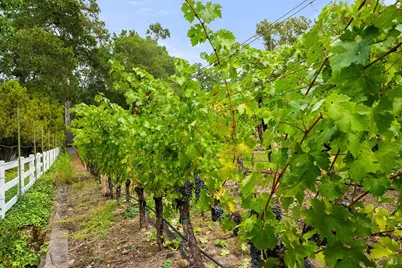 2550 Warm Springs Road, Glen Ellen, CA 95442 - Photo 47