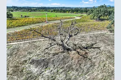 5695 Bravo Toro Lane, Santa Rosa, CA 95401 - Photo 7