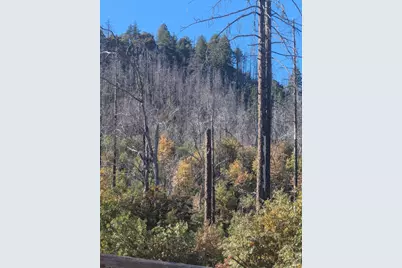 1833 Hunter Point Road, Upper Lake, CA 95485 - Photo 55