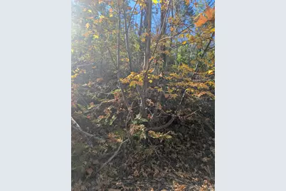 1833 Hunter Point Road, Upper Lake, CA 95485 - Photo 21