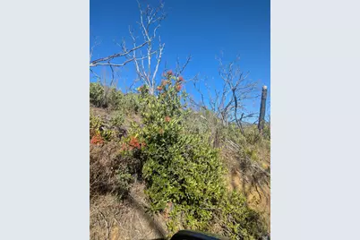 1833 Hunter Point Road, Upper Lake, CA 95485 - Photo 39