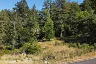 1 Meadow View Ln, San Geronimo, CA 94963 - Photo 7