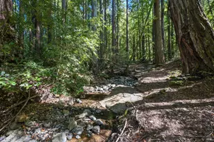 1 Meadow View Ln, San Geronimo, CA 94963 - Photo 15