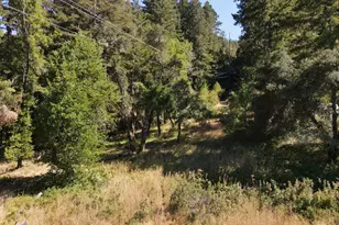 1 Meadow View Ln, San Geronimo, CA 94963 - Photo 17