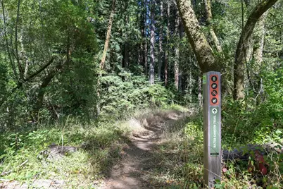 1 Meadow View Lane, San Geronimo, CA 94963 - Photo 13