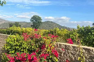 105 Claret Cir, Yountville, CA 94559 - Photo 5