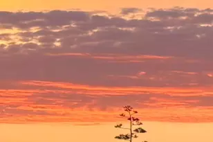 1065 Rimrock Dr, Napa, CA 94558 - Photo 1