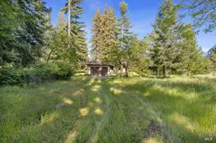 3500 Mt Veeder Rd, Napa, CA 94558 - Photo 35