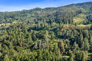 3500 Mt Veeder Rd, Napa, CA 94558 - Photo 41