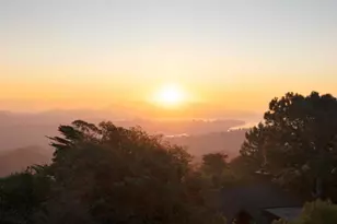 20 Palm Way, Mill Valley, CA 94941 - Photo 49