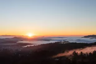 20 Palm Way, Mill Valley, CA 94941 - Photo 53