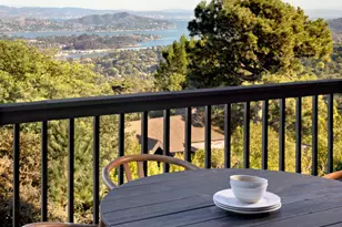 20 Palm Way, Mill Valley, CA 94941 - Photo 43